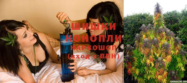 шишки Богданович