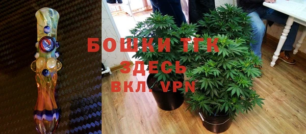 шишки Богданович