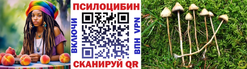 Псилоцибиновые грибы прущие грибы  Волчанск 